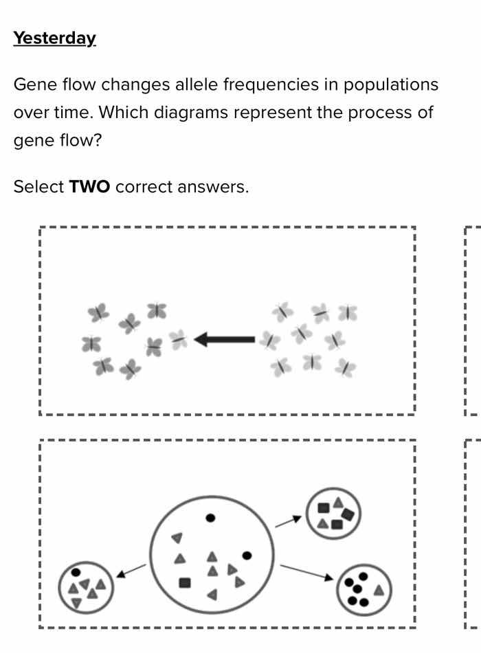 yesterday gene flow changes allele frequencies in populations over time…