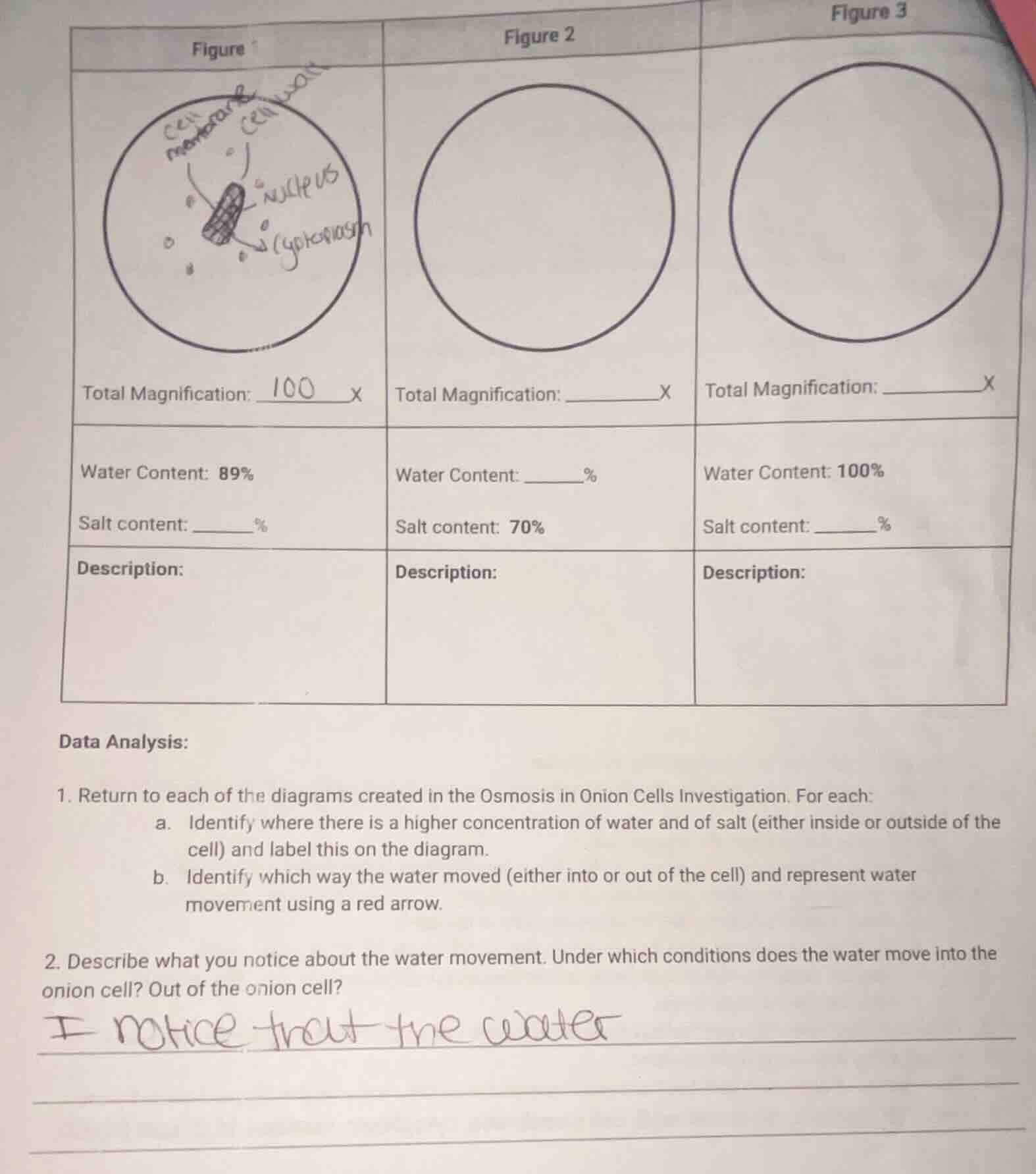 figure total magnification: 100 x water content: 89% salt content: ____…