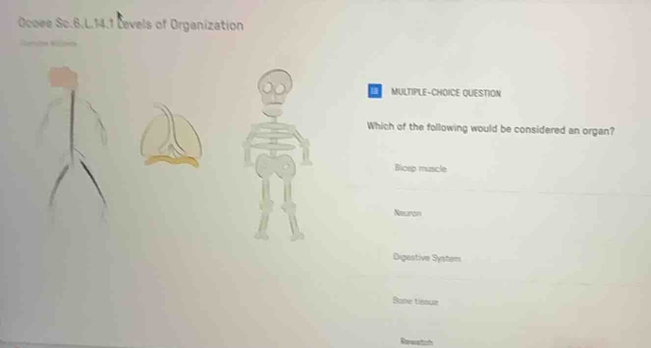 ocose sc.6.l.14.1 levels of organization multiple-choice question which…