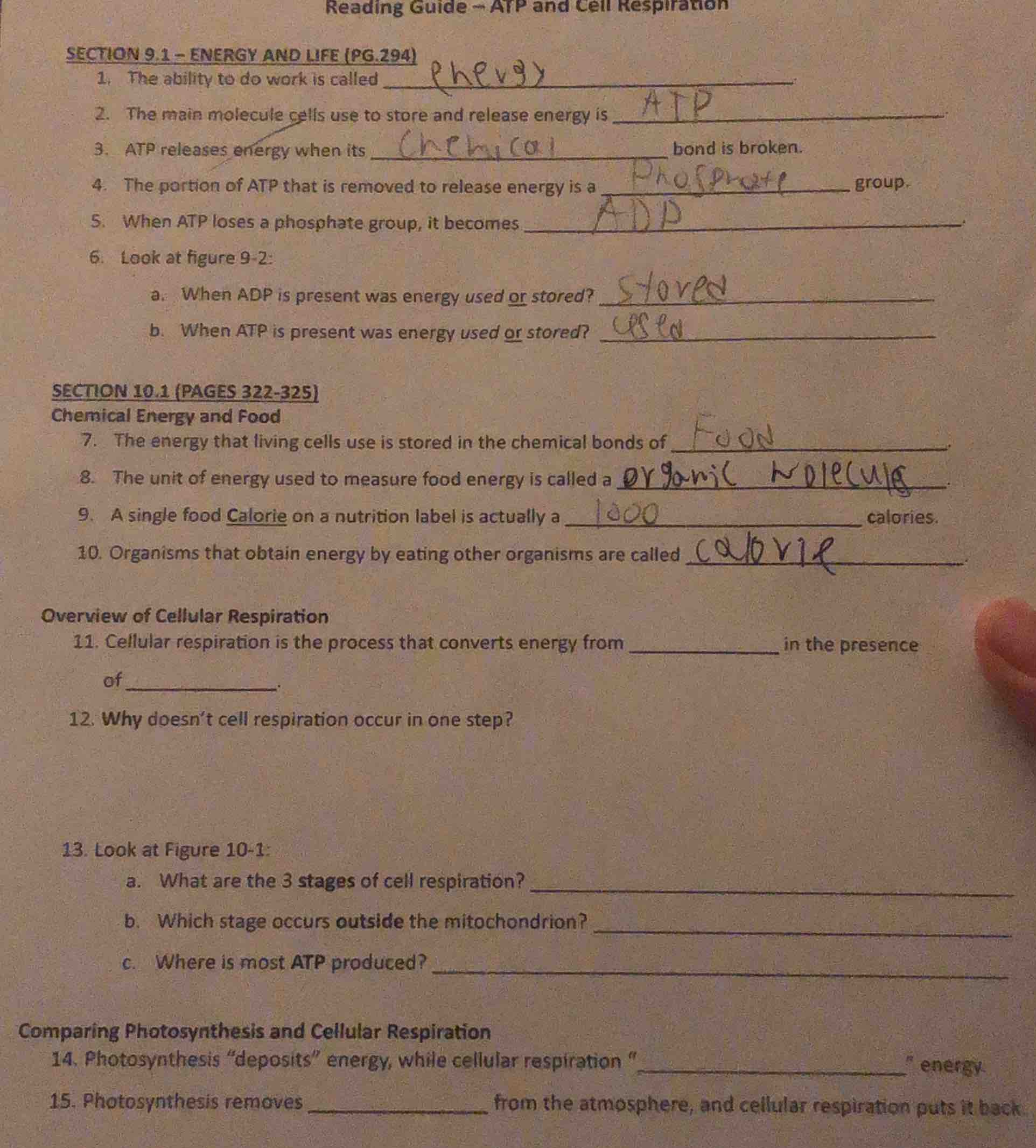 reading guide - atp and cell respiration section 9.1 - energy and life …