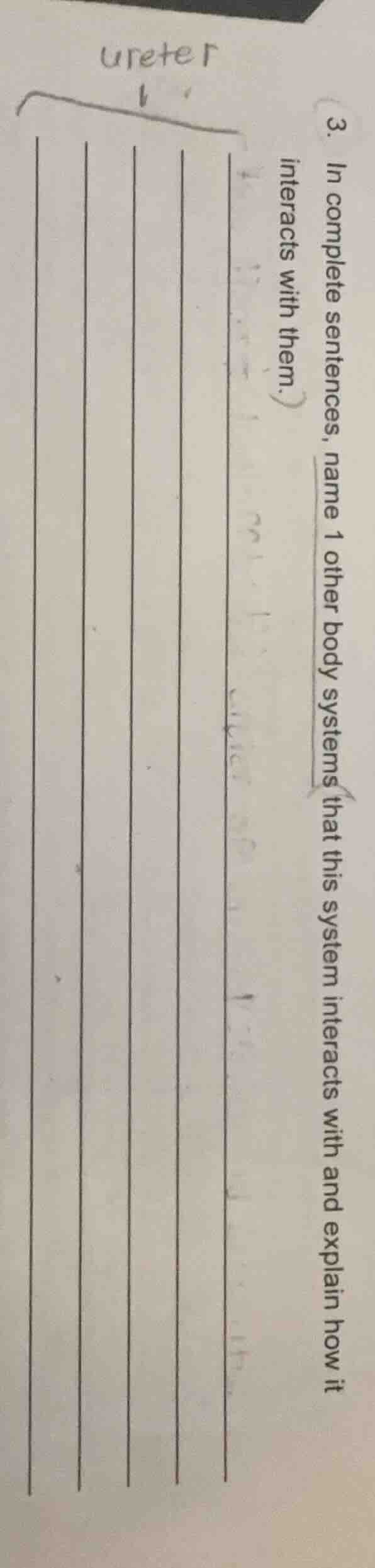 3. in complete sentences, name 1 other body systems that this system in…