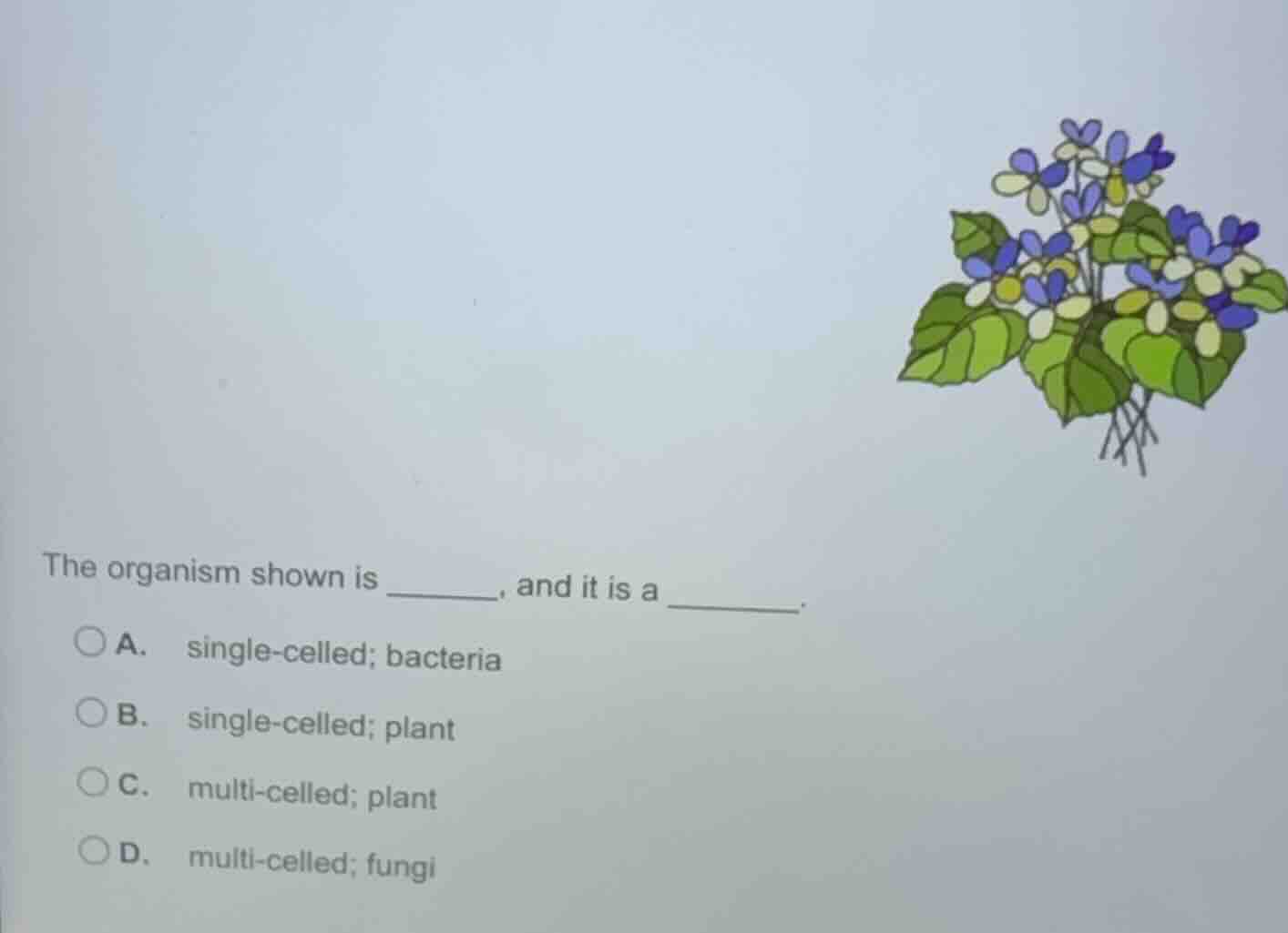 the organism shown is ______, and it is a ______. a. single - celled; b…