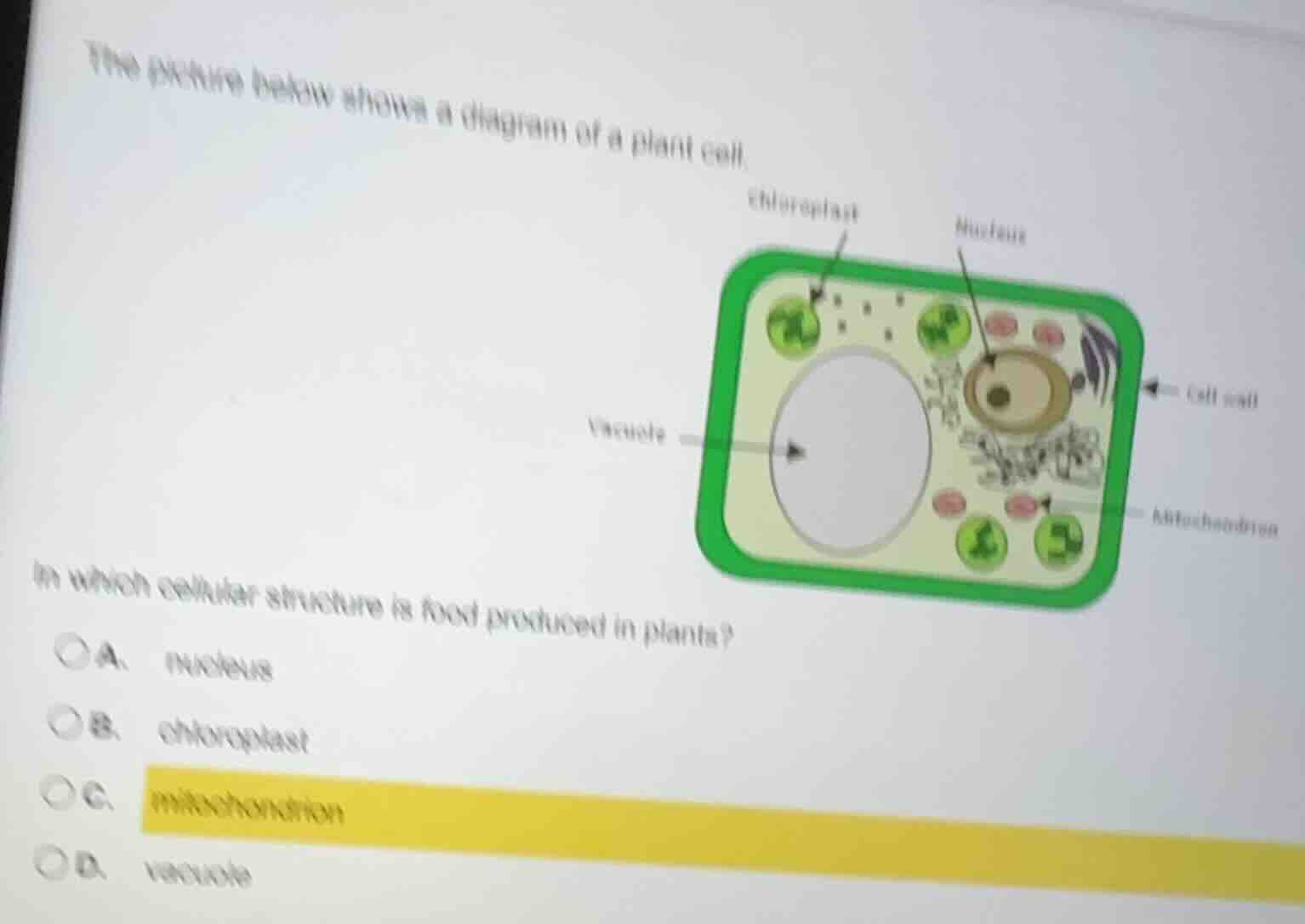 the picture below shows a diagram of a plant cell. in which cellular st…