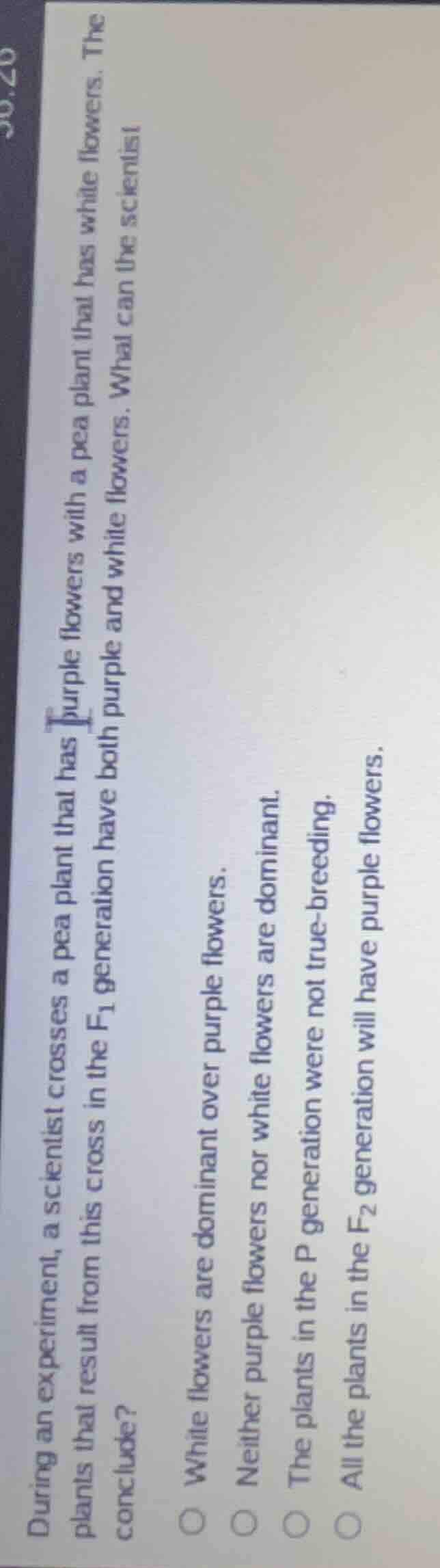 during an experiment, a scientist crosses a pea plant that has purple f…