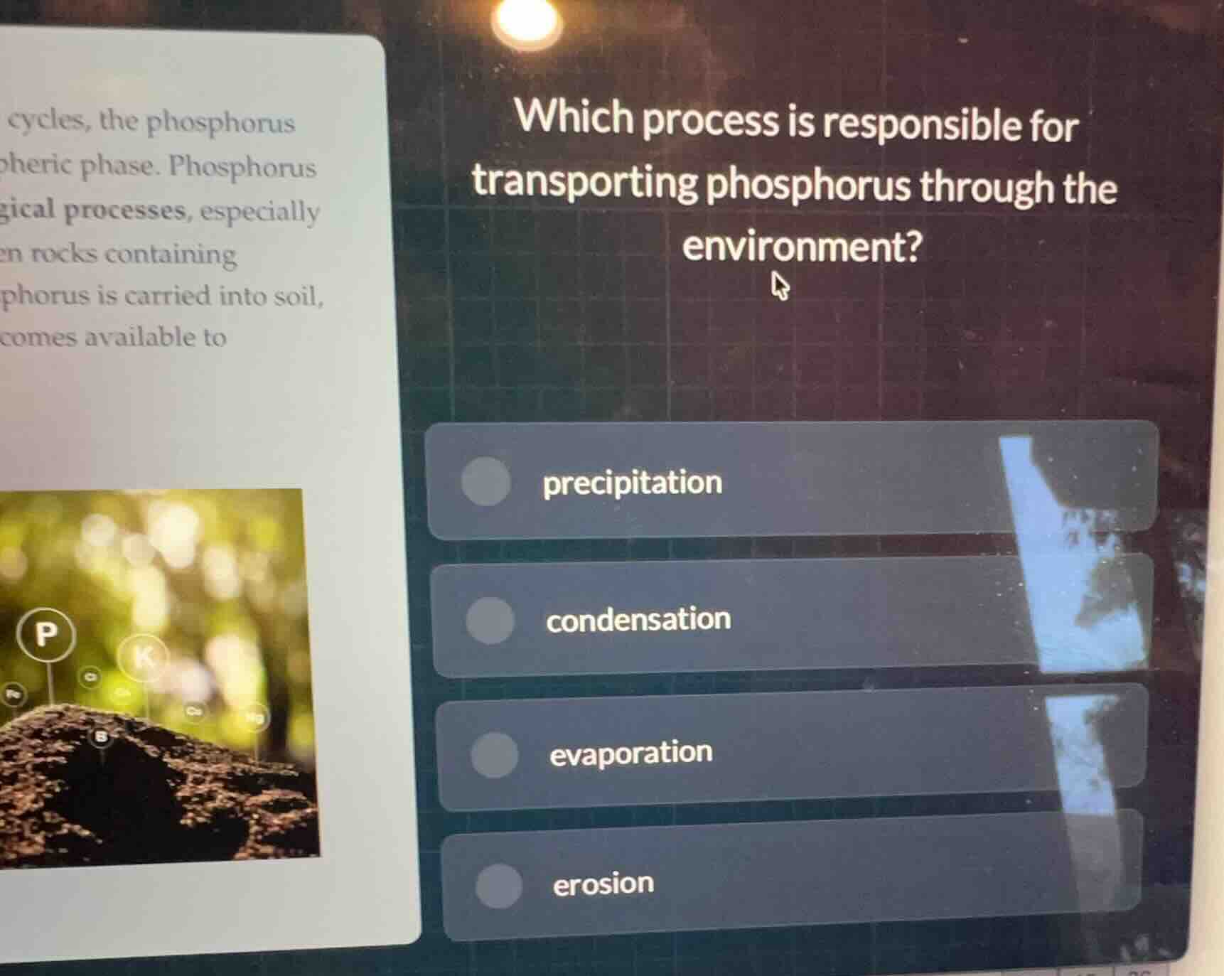 which process is responsible for transporting phosphorus through the en…