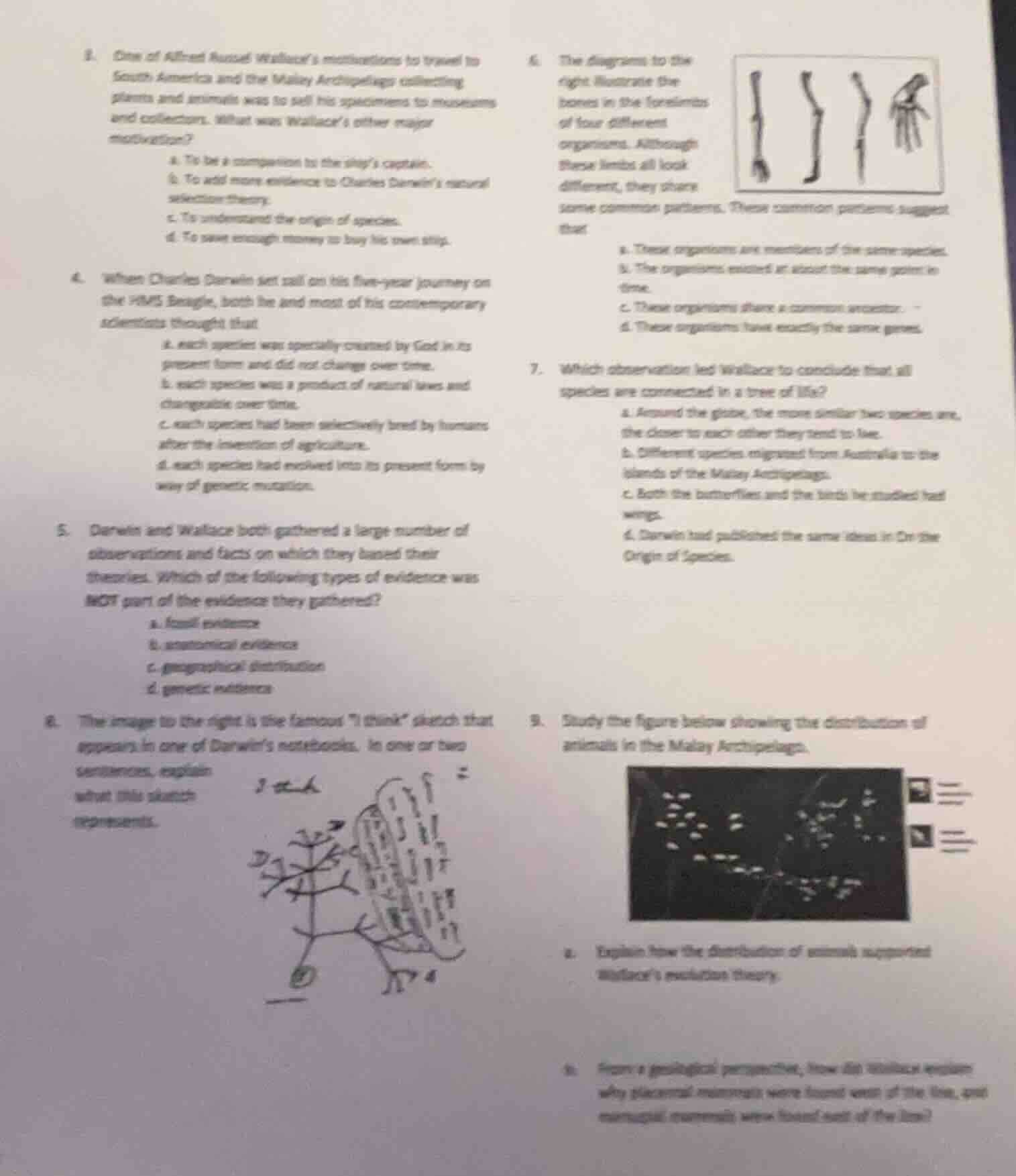 1. one of alfred russel wallace’s motivations to travel to south americ…