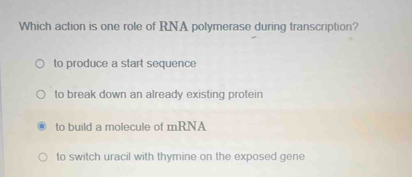which action is one role of rna polymerase during transcription? ○ to p…