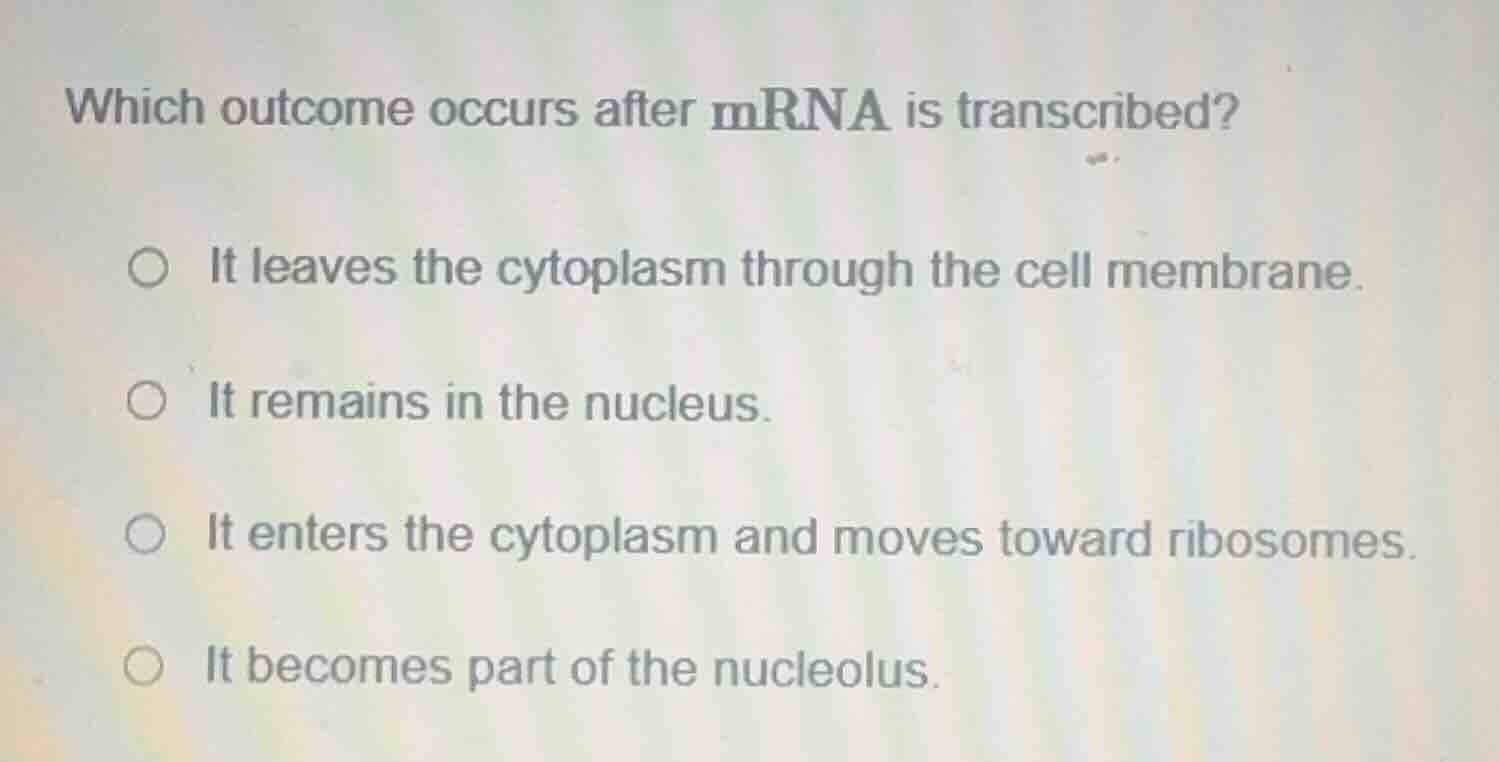 which outcome occurs after mrna is transcribed? it leaves the cytoplasm…