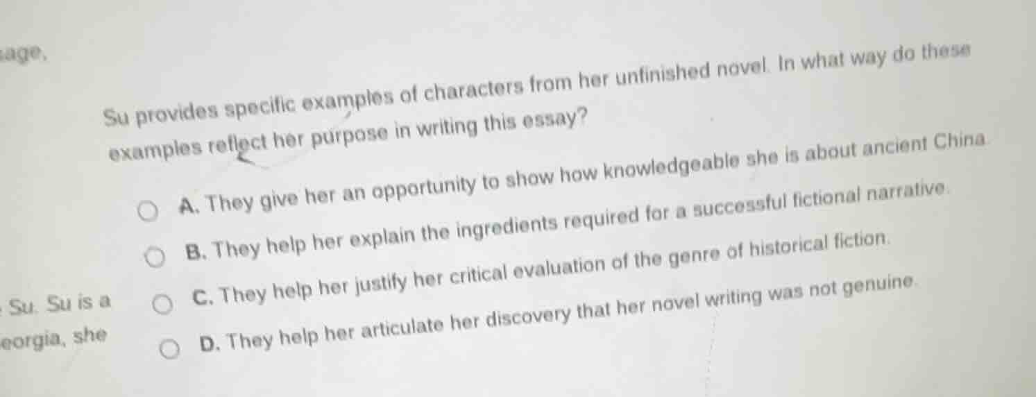 su provides specific examples of characters from her unfinished novel. …