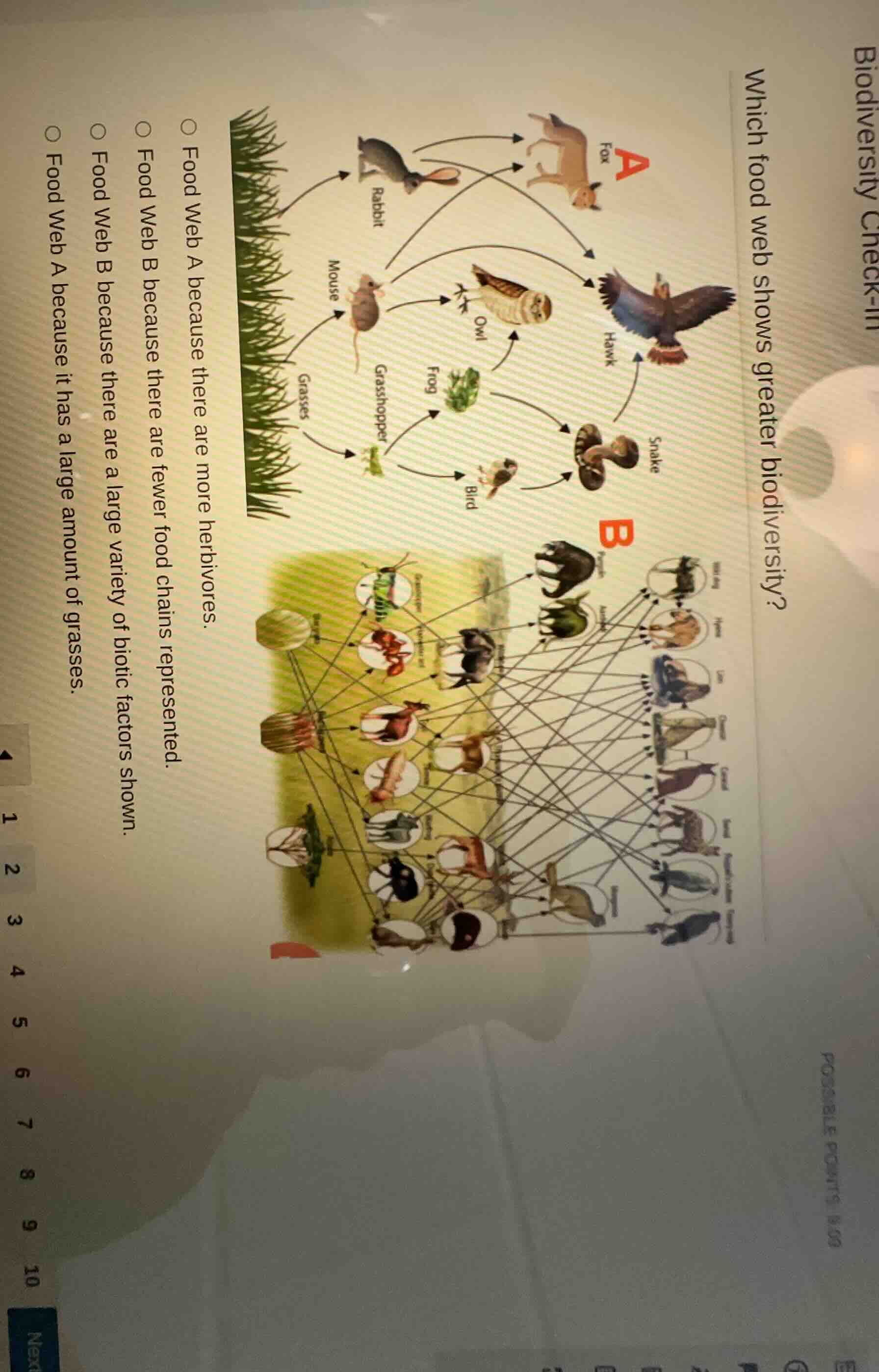 biodiversity check-in which food web shows greater biodiversity? image …