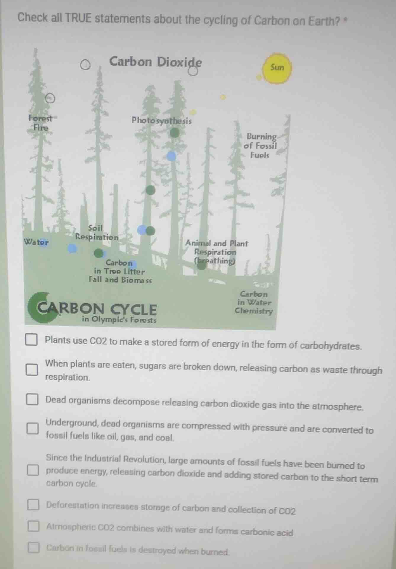 check all true statements about the cycling of carbon on earth? carbon …