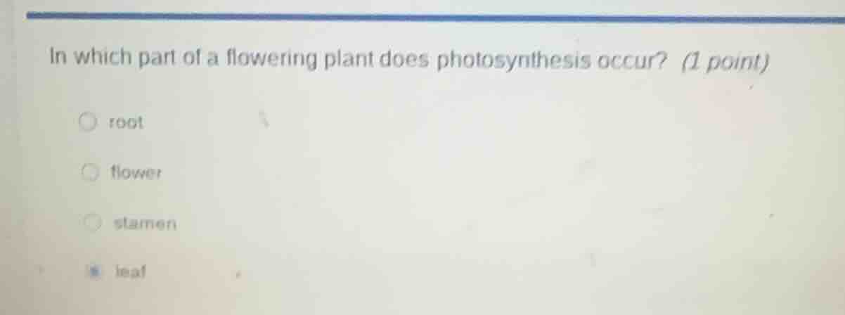 in which part of a flowering plant does photosynthesis occur? (1 point)…