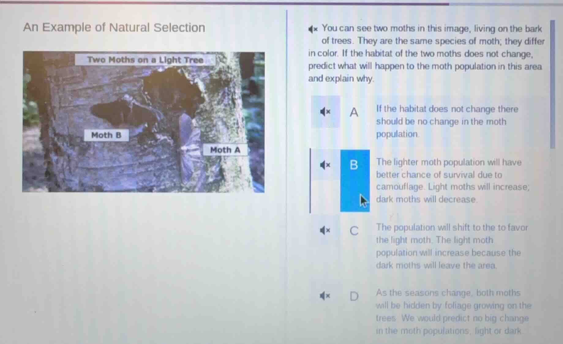 an example of natural selection two moths on a light tree moth b moth a…