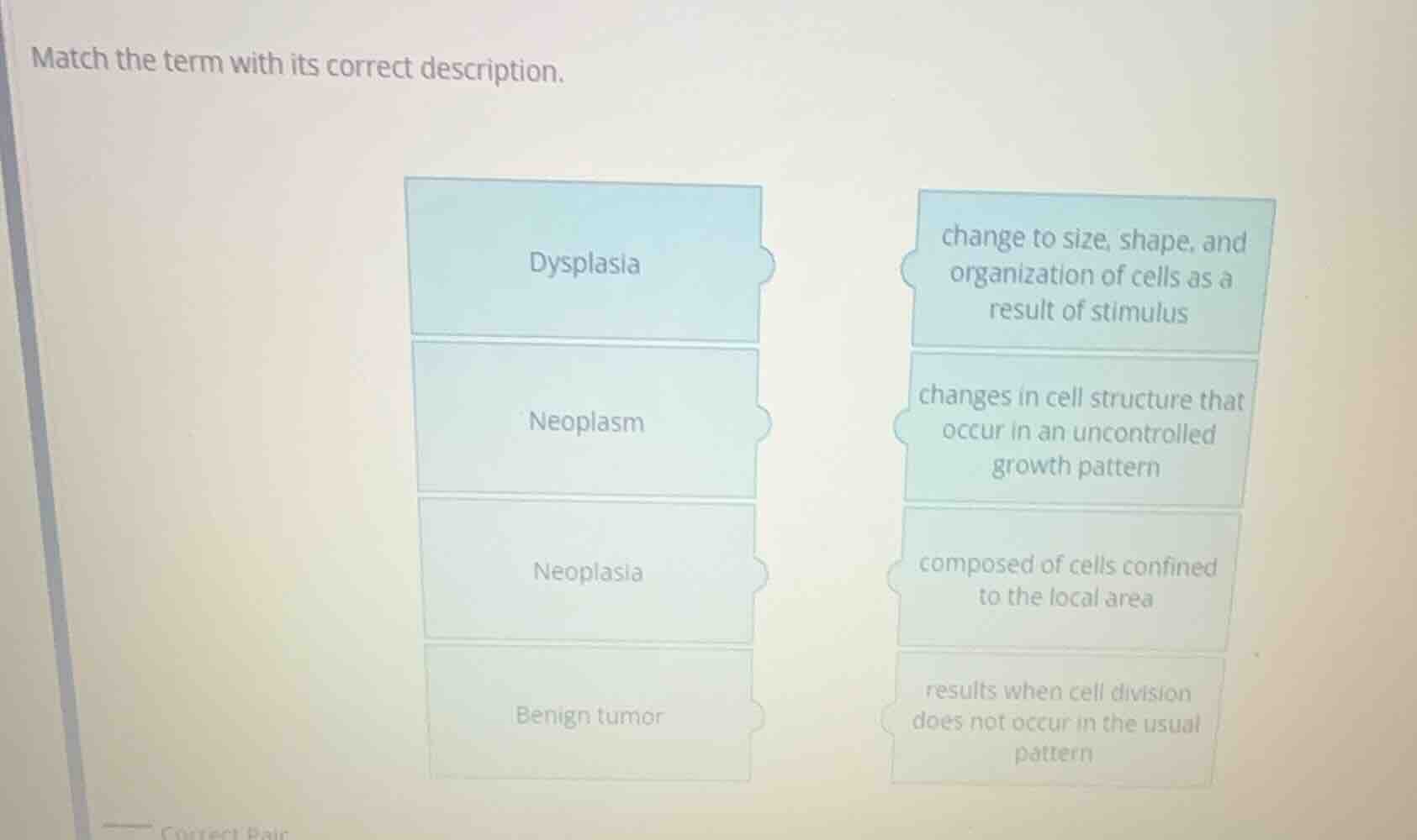 match the term with its correct description. dysplasia neoplasm neoplas…