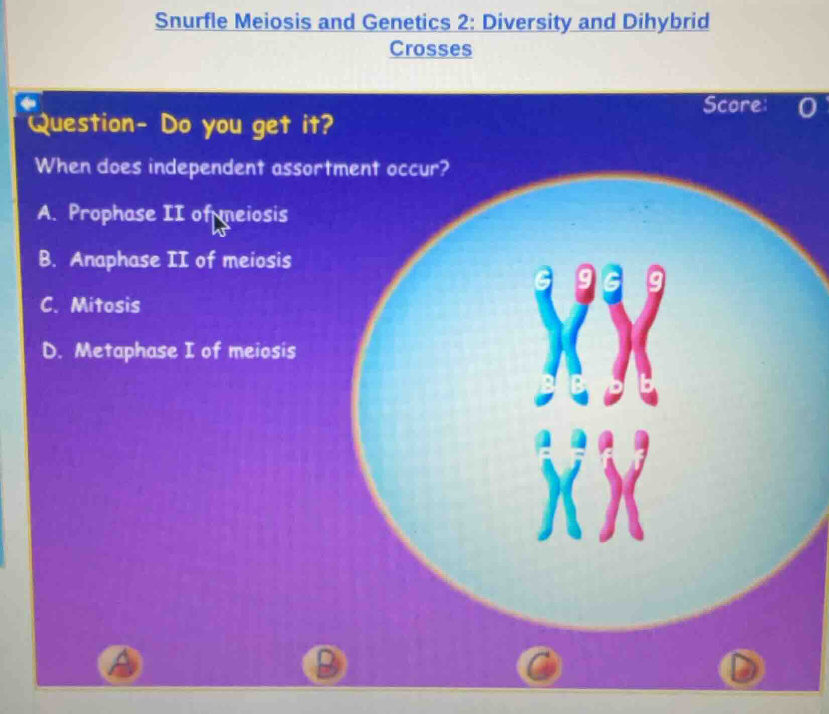 snurfle meiosis and genetics 2: diversity and dihybrid crosses question…