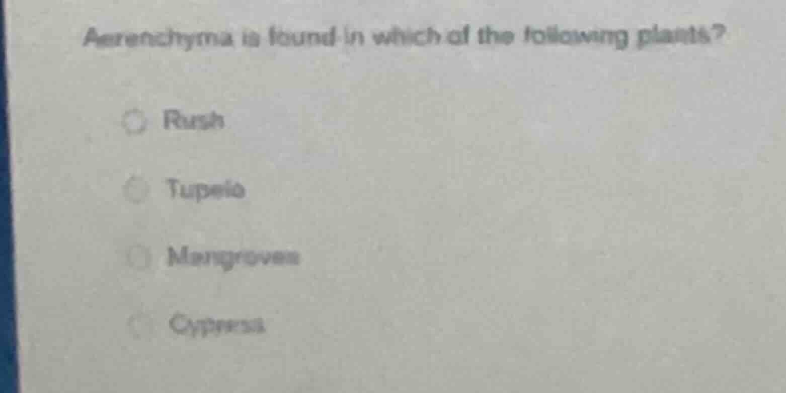 aerenchyma is found in which of the following plants? rush tupelo mangr…