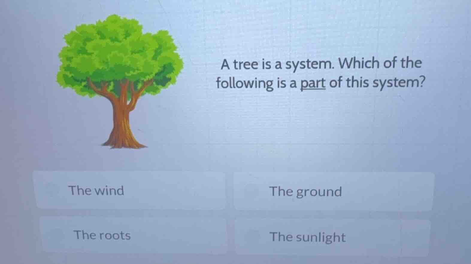 a tree is a system. which of the following is a part of this system? th…