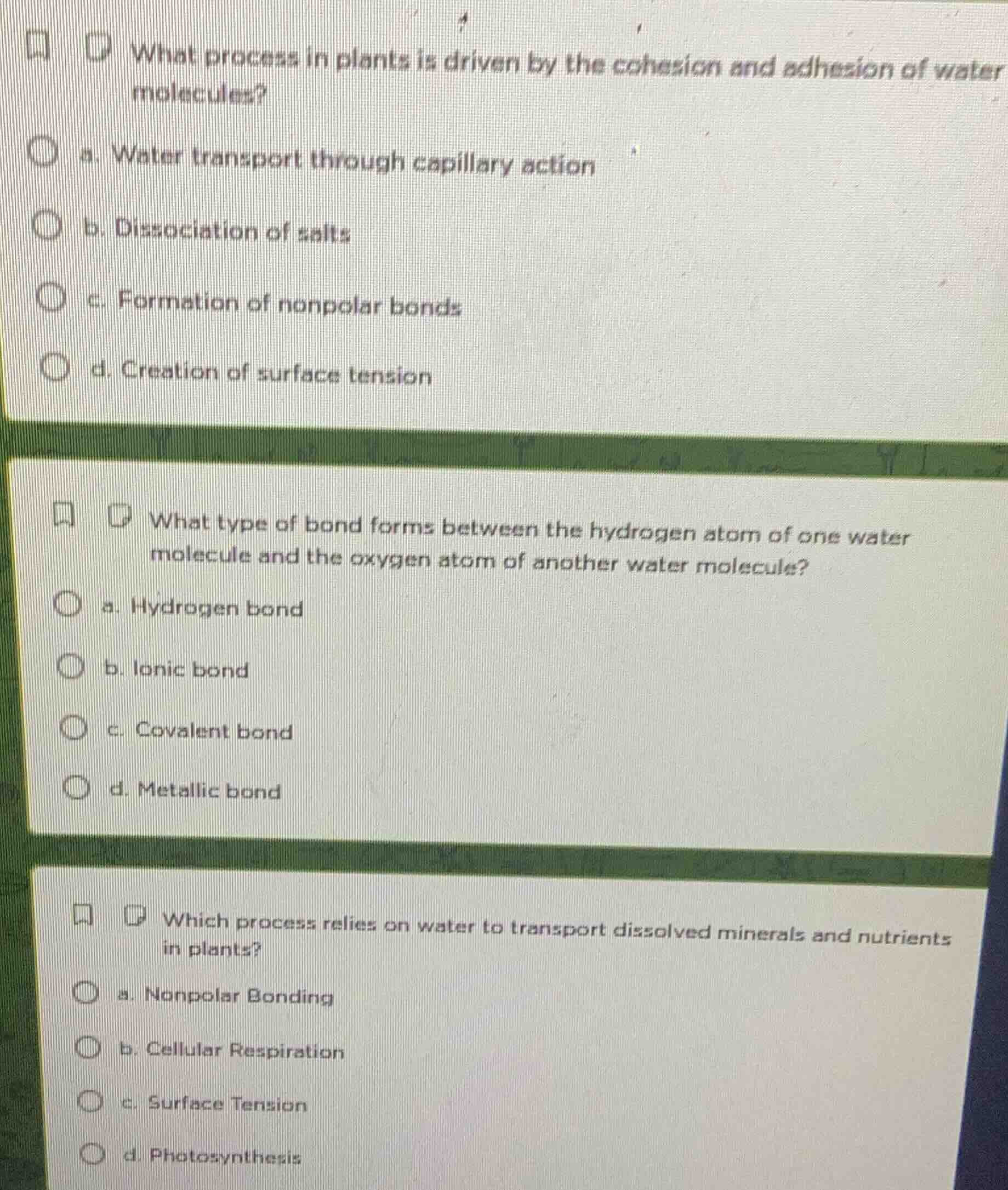 what process in plants is driven by the cohesion and adhesion of water …