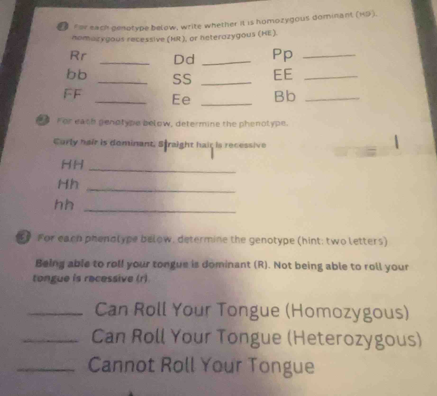 1 for each genotype below, write whether it is homozygous dominant (hd)…