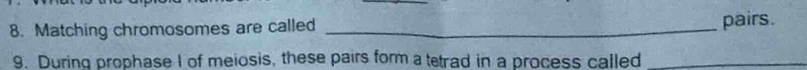 8. matching chromosomes are called __________________ pairs. 9. during …