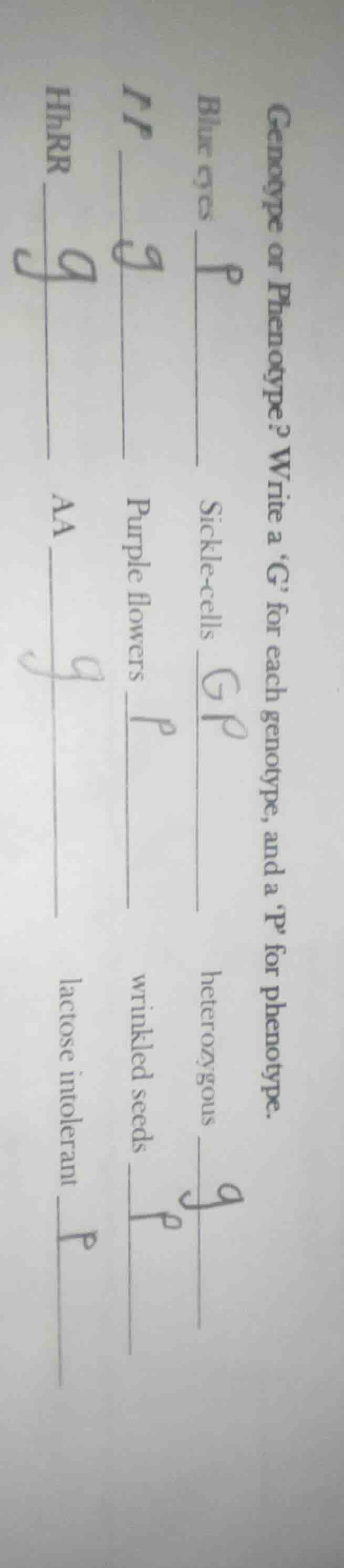 genotype or phenotype? write a ‘g’ for each genotype, and a ‘p’ for phe…