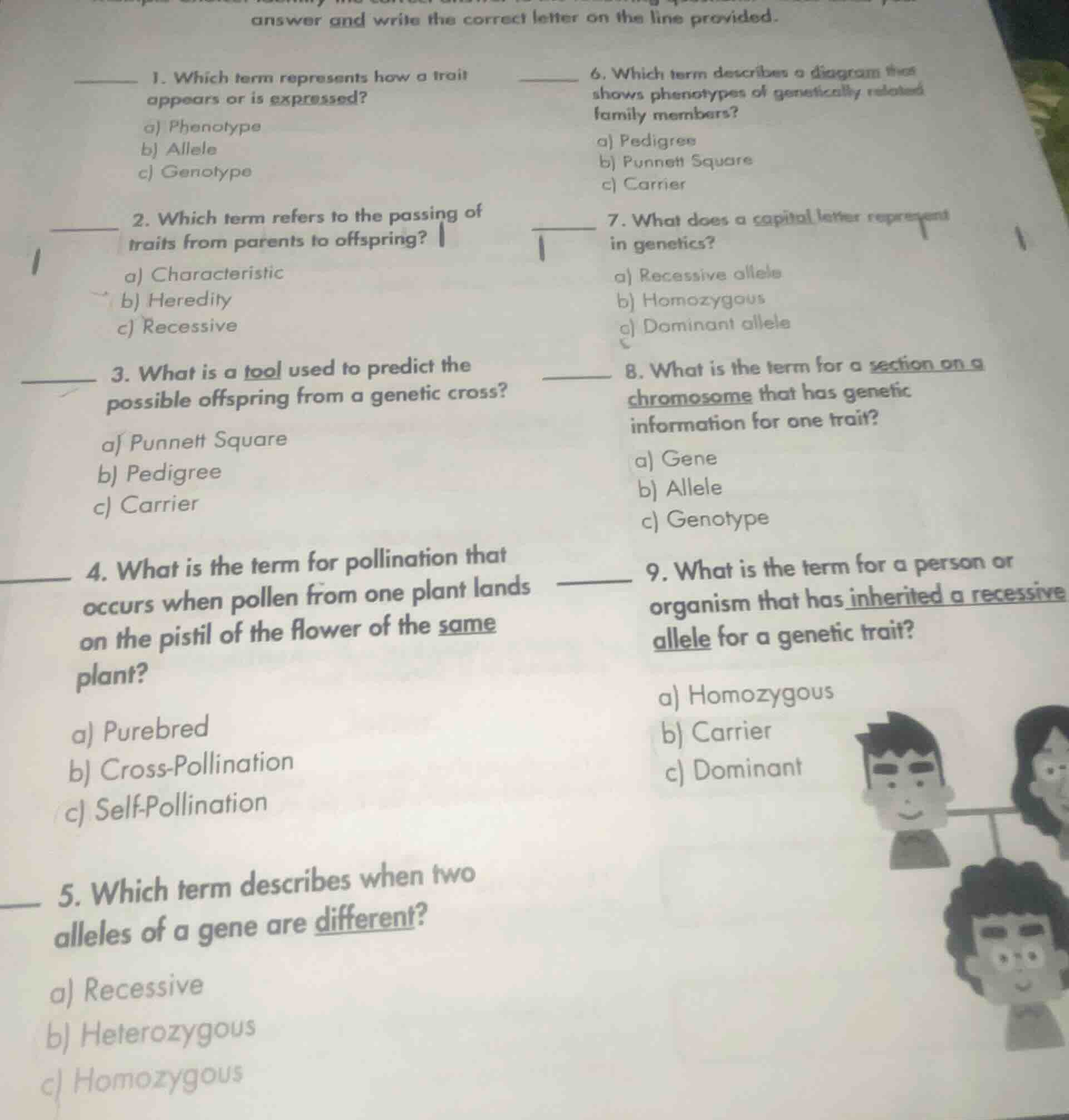 answer and write the correct letter on the line provided. 1. which term…