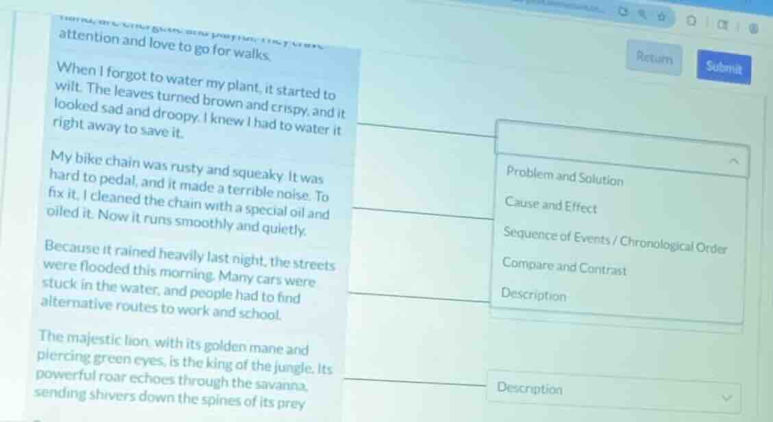 attention and love to go for walks. when i forgot to water my plant, it…