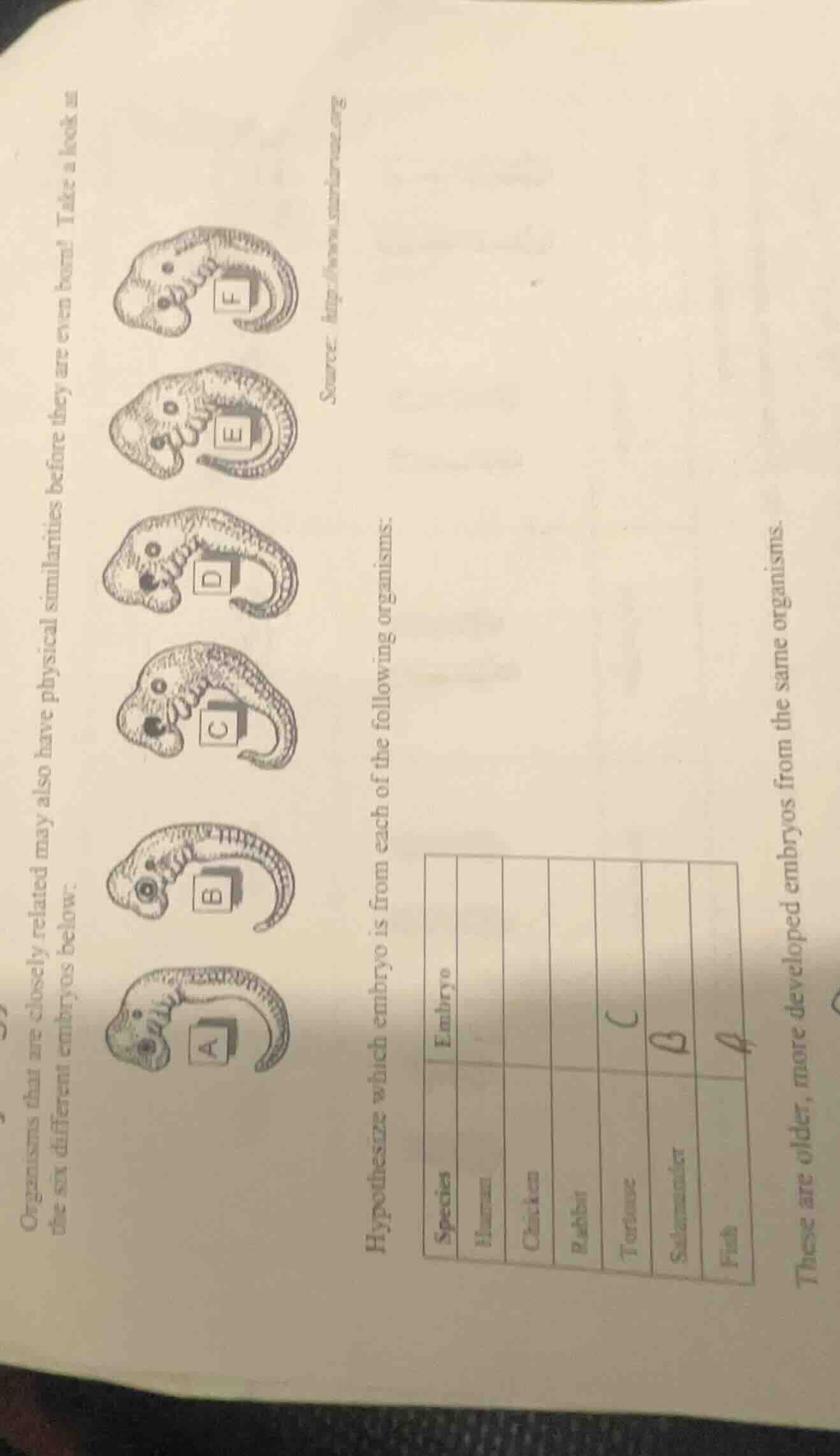 organisms that are closely related may also have physical similarities …