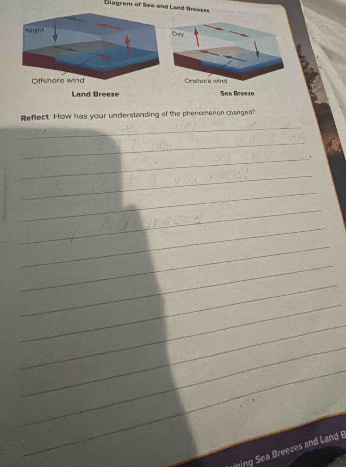diagram of sea and land breezes night offshore wind land breeze day ons…