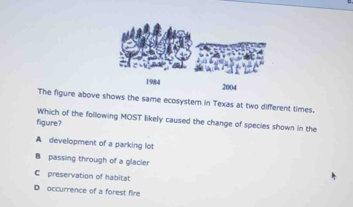 the figure above shows the same ecosystem in texas at two different tim…