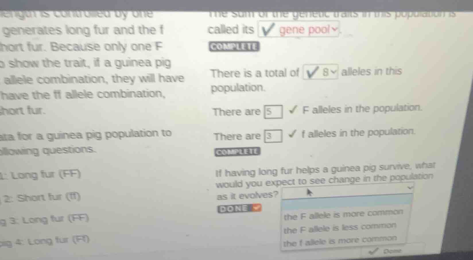 length is controlled by one generates long fur and the f short fur. bec…