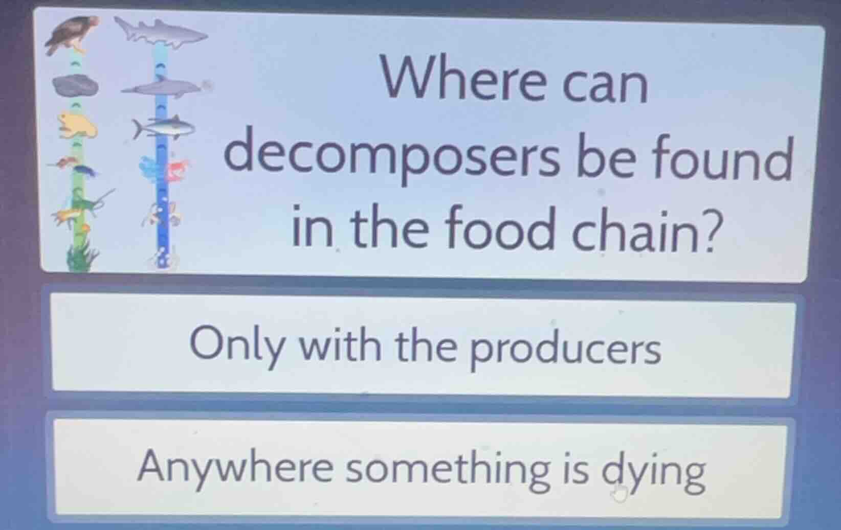 where can decomposers be found in the food chain? only with the produce…