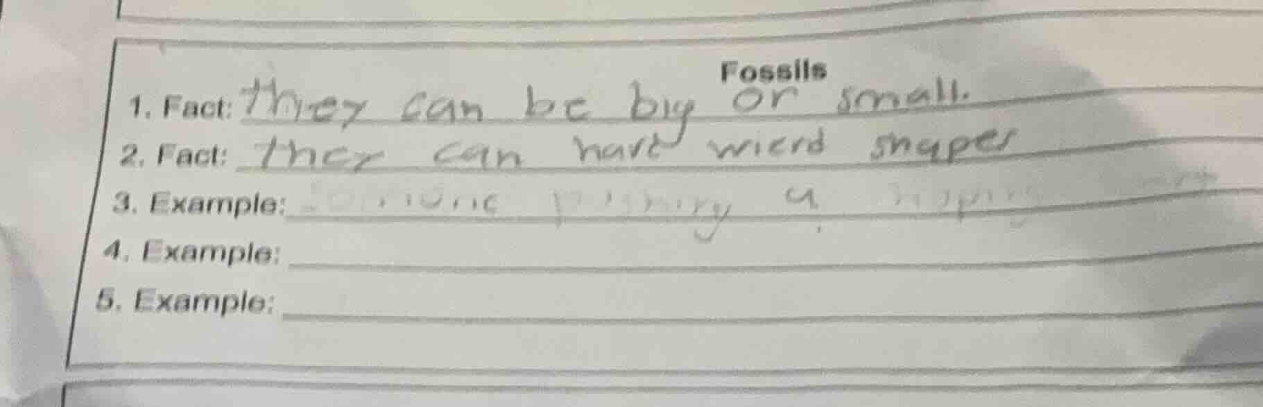 fossils 1. fact: they can be big or small. 2. fact: they can have weird…