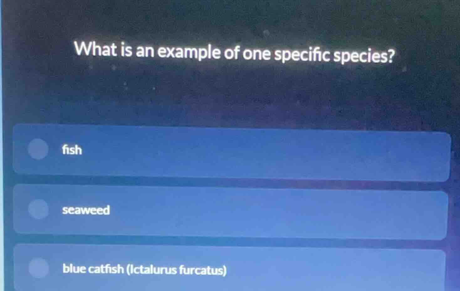 what is an example of one specific species? fish seaweed blue catfish (…
