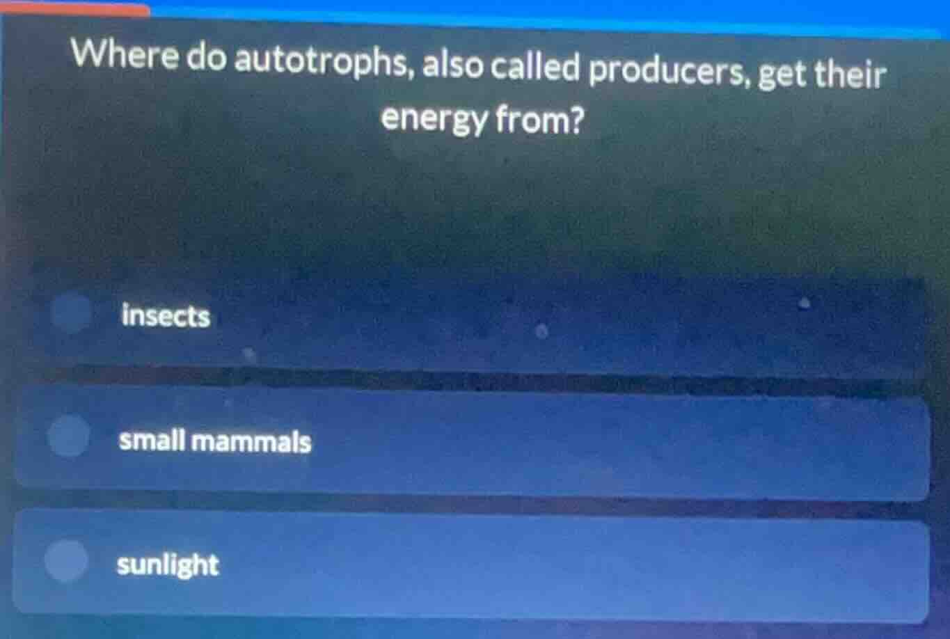 where do autotrophs, also called producers, get their energy from? inse…