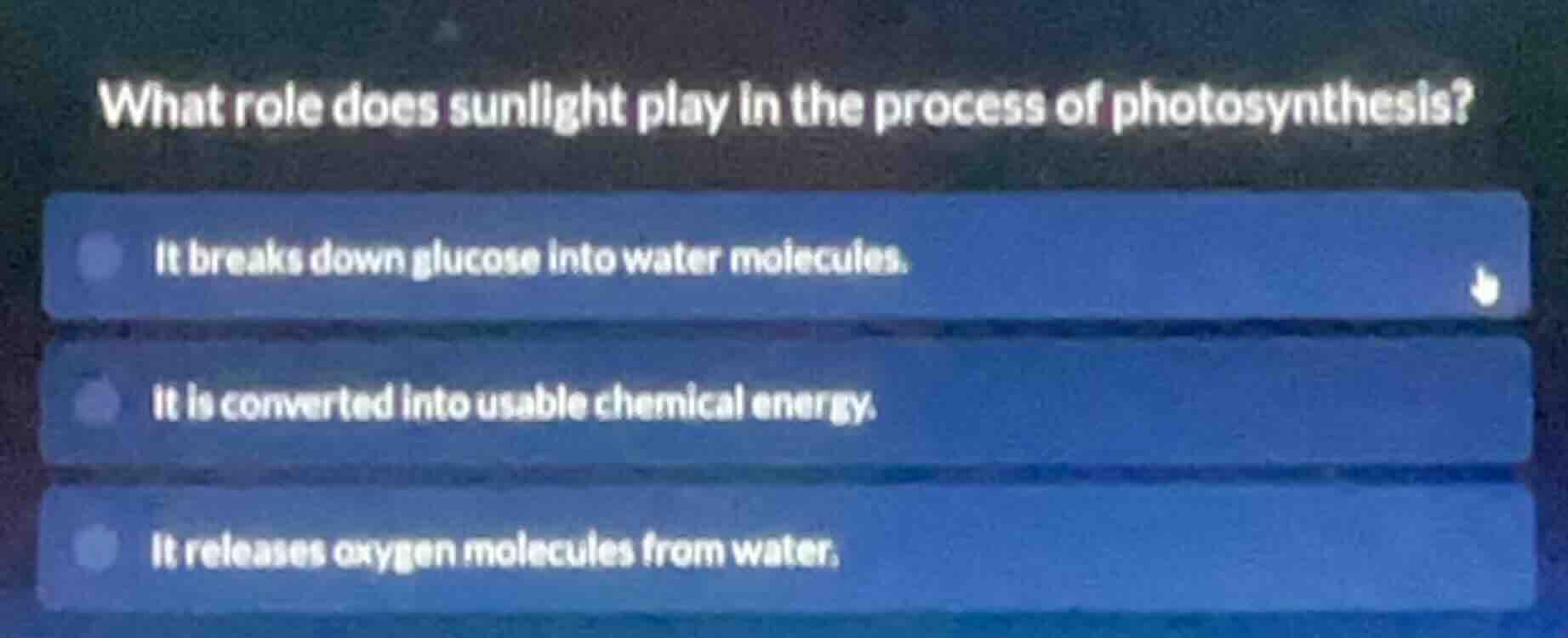 what role does sunlight play in the process of photosynthesis? it break…