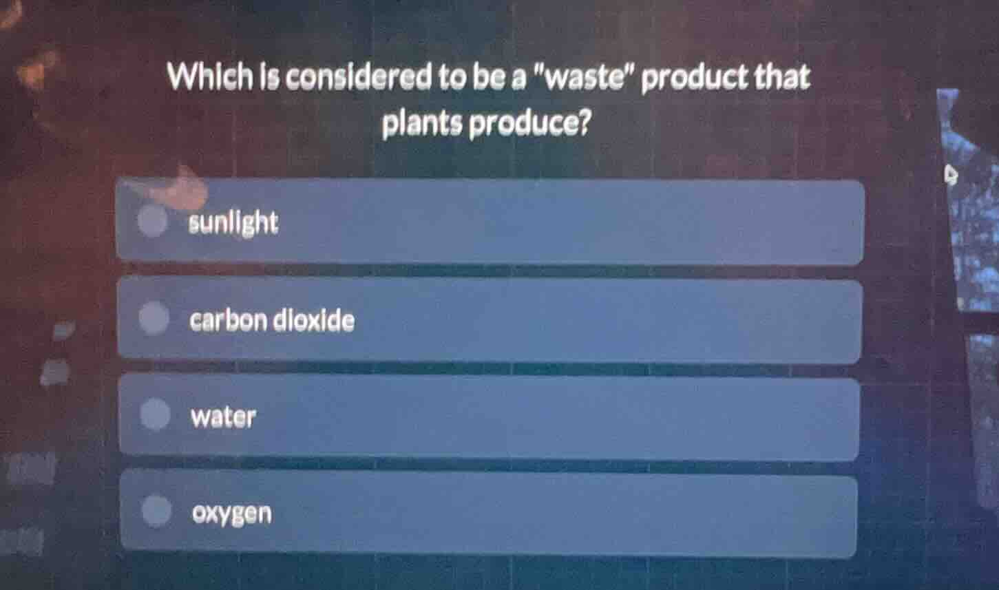 which is considered to be a \waste\ product that plants produce? sunlig…