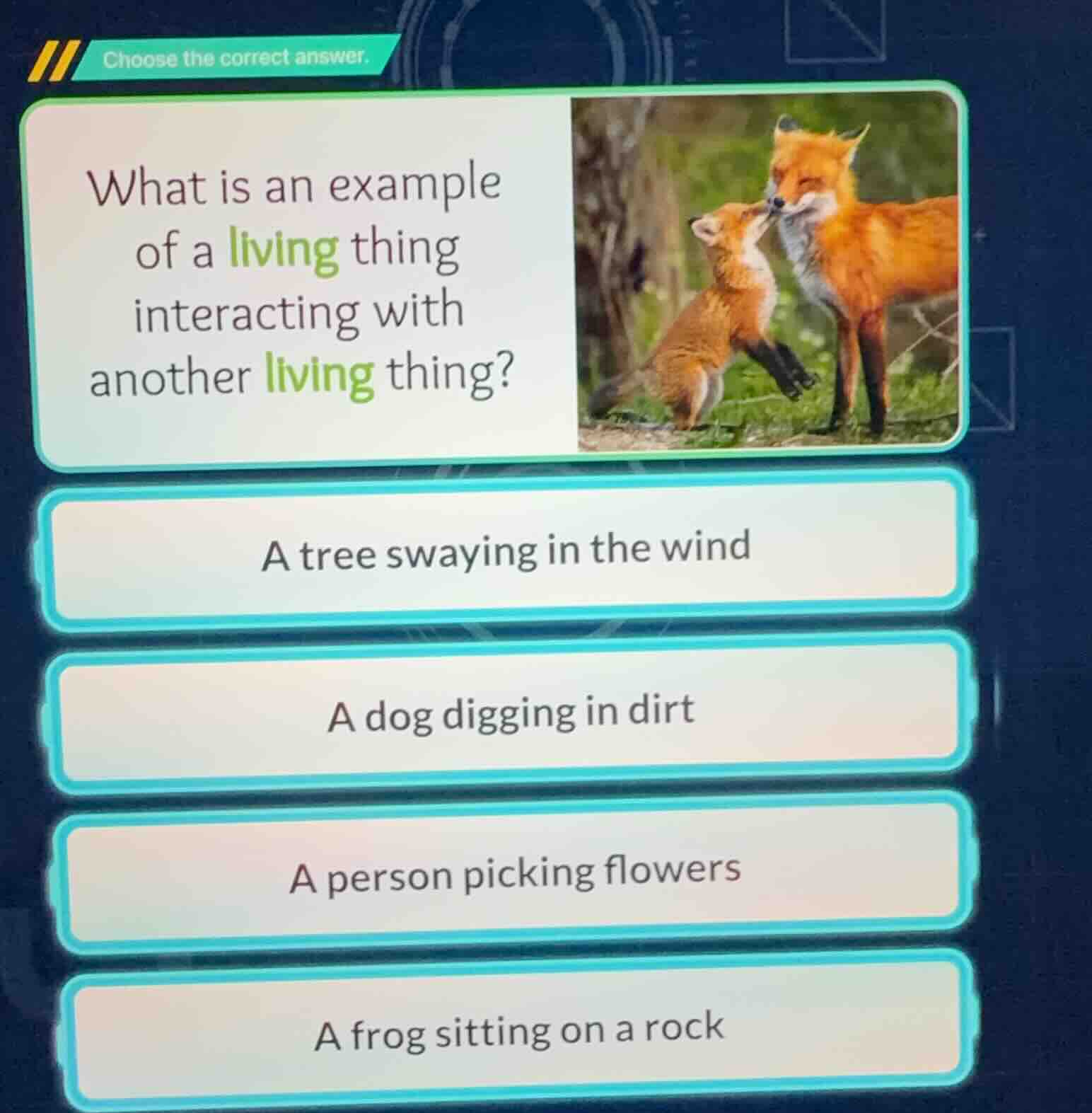 choose the correct answer. what is an example of a living thing interac…