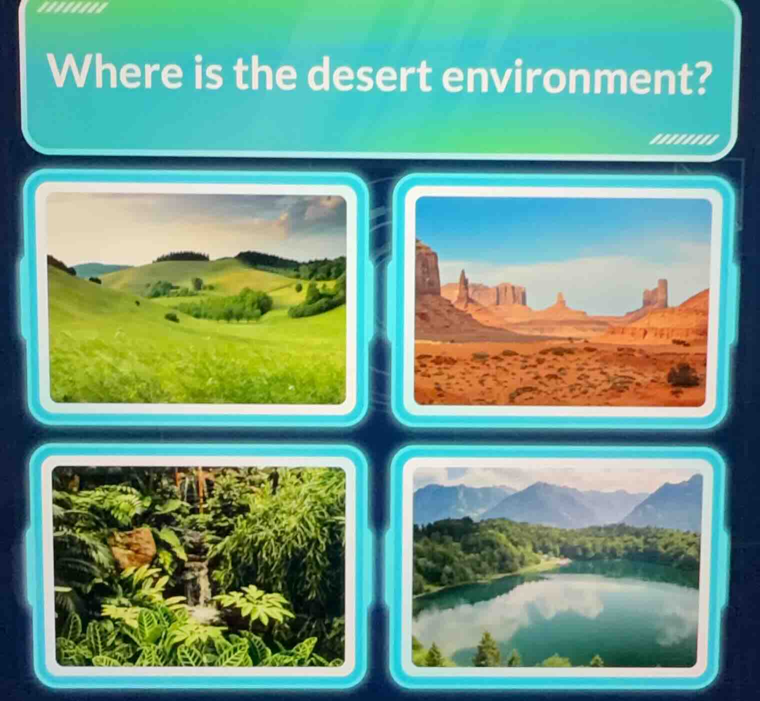 where is the desert environment?