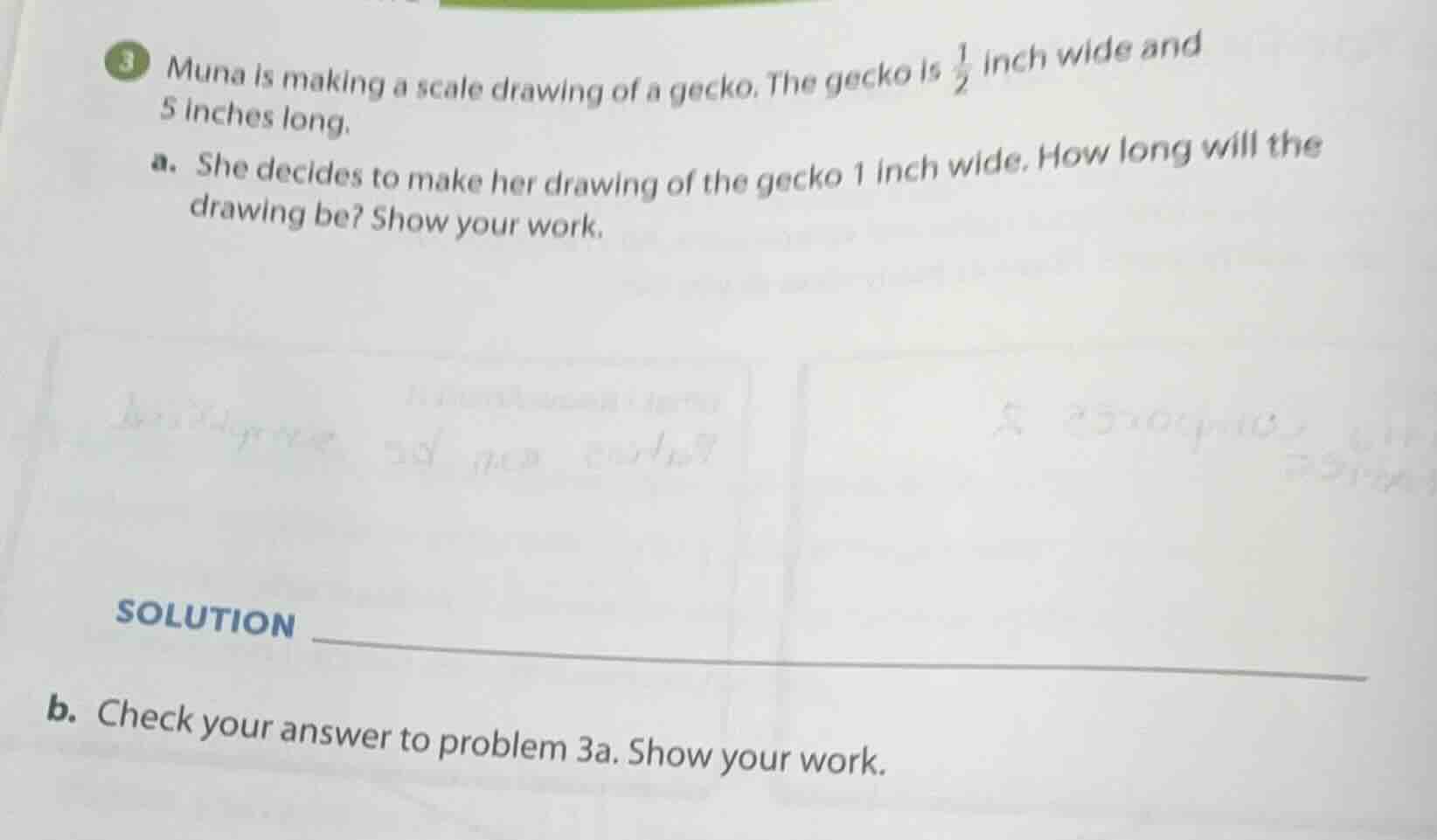 3 muna is making a scale drawing of a gecko. the gecko is $\frac{1}{2}$…