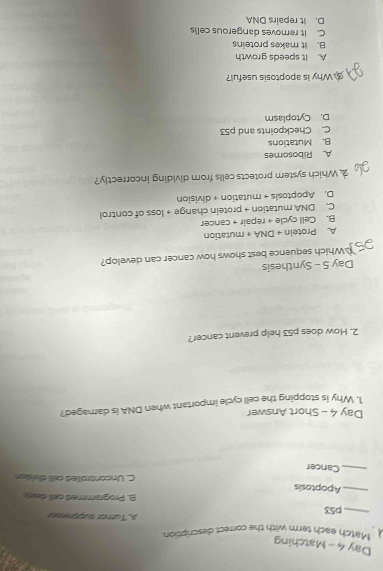 day 4 - matching a. match each term with the correct description. —— p5…