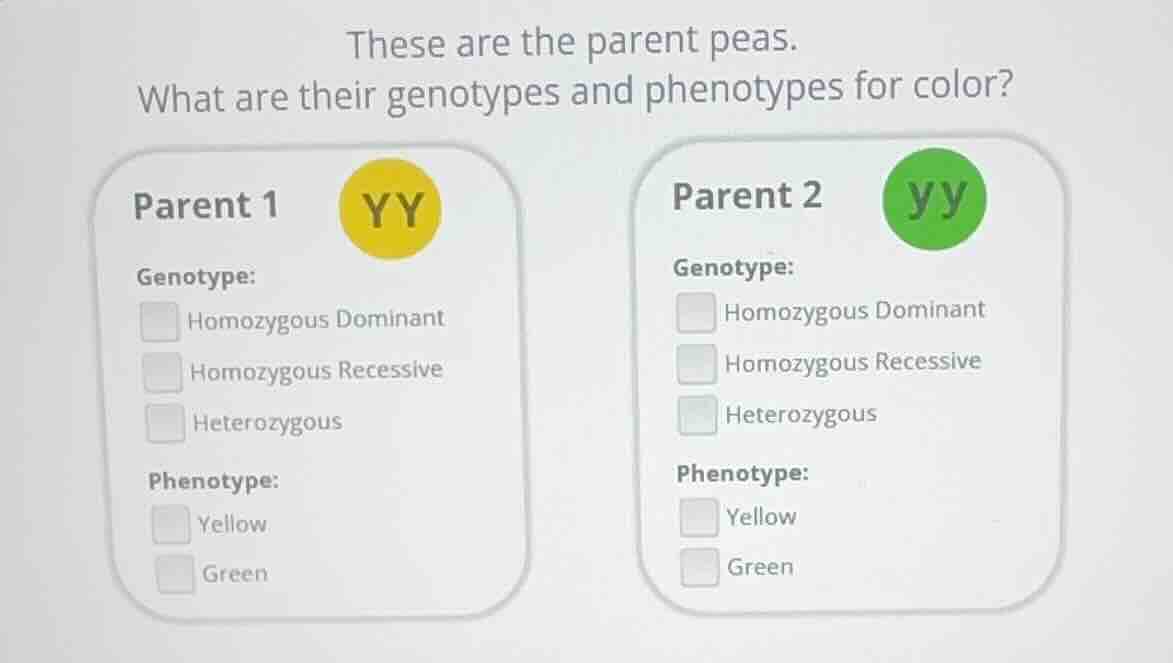 these are the parent peas. what are their genotypes and phenotypes for …