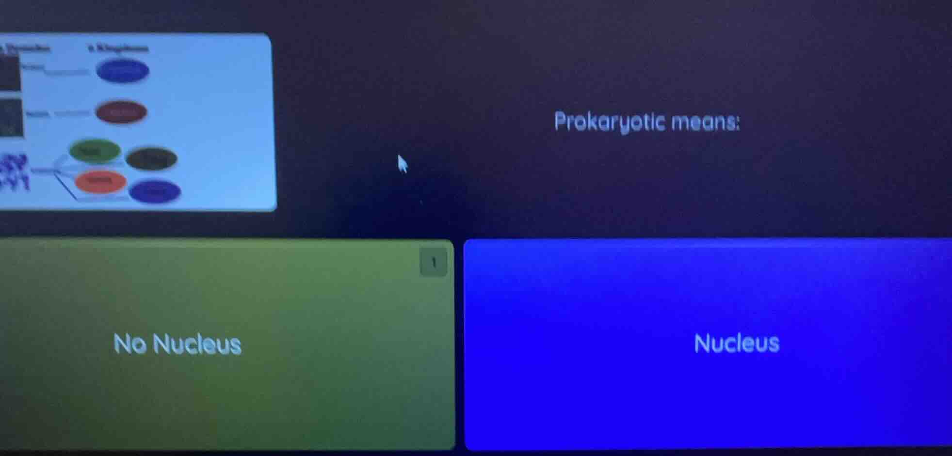 prokaryotic means: no nucleus; nucleus