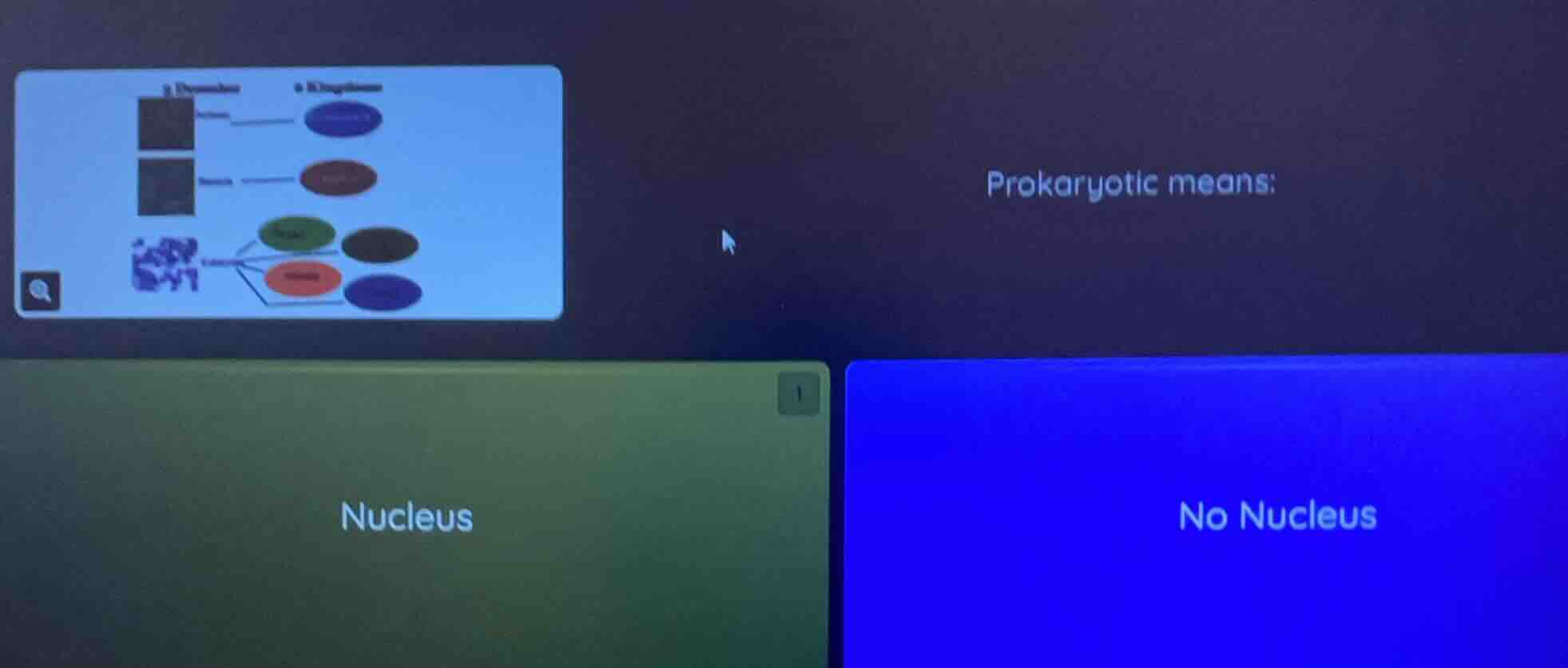 prokaryotic means: nucleus no nucleus