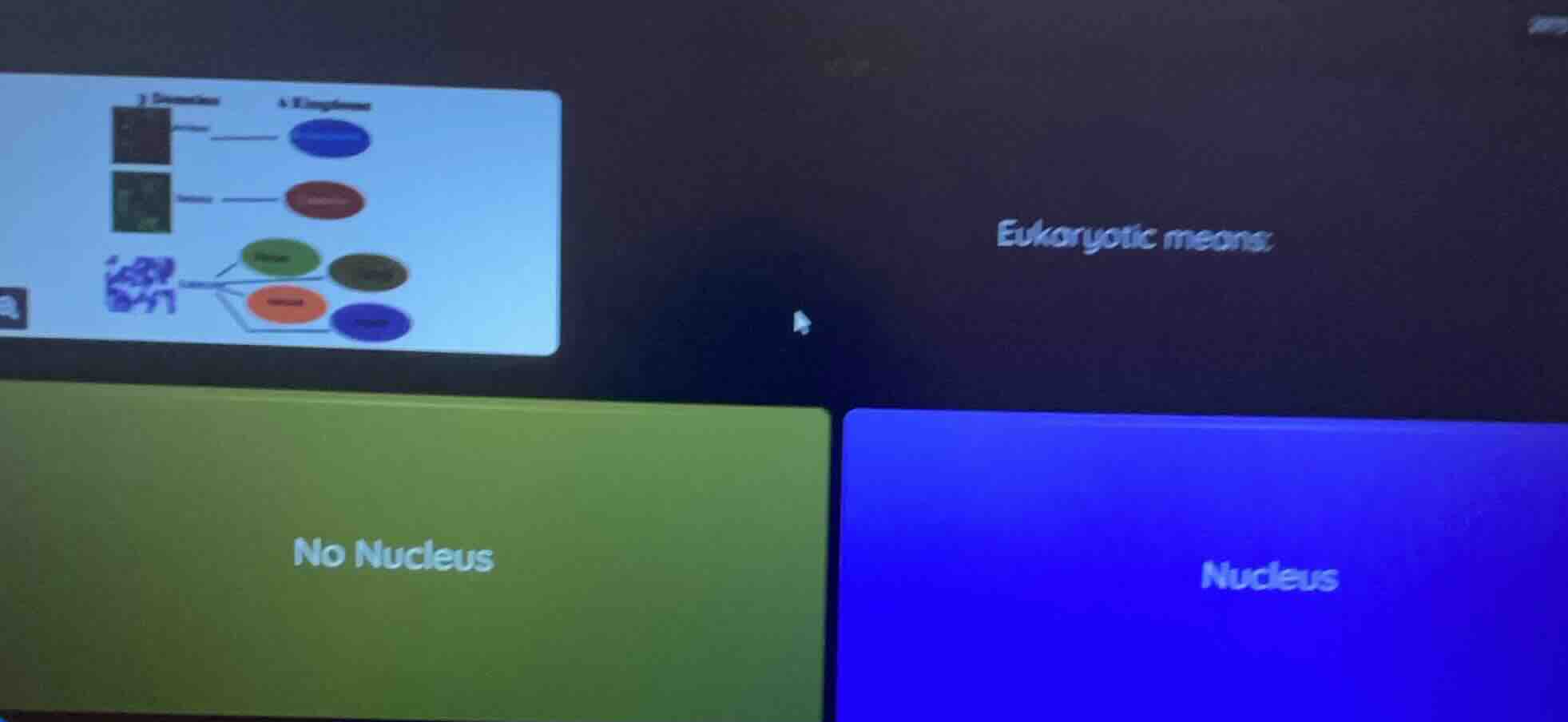 eukaryotic means: no nucleus nucleus