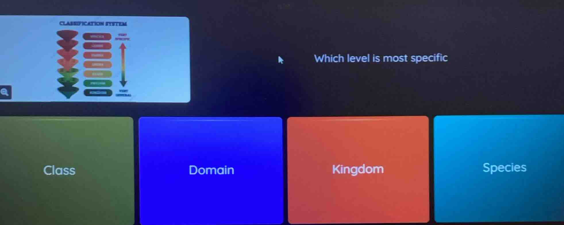 classification system which level is most specific class domain kingdom…
