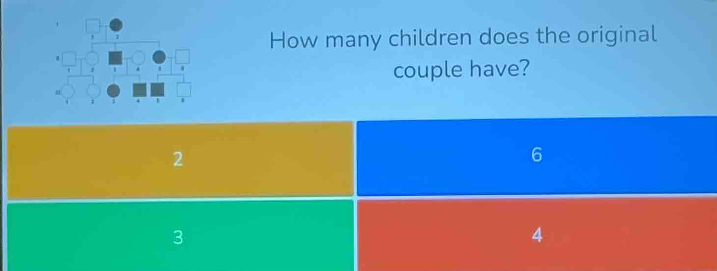 how many children does the original couple have? 2 6 3 4