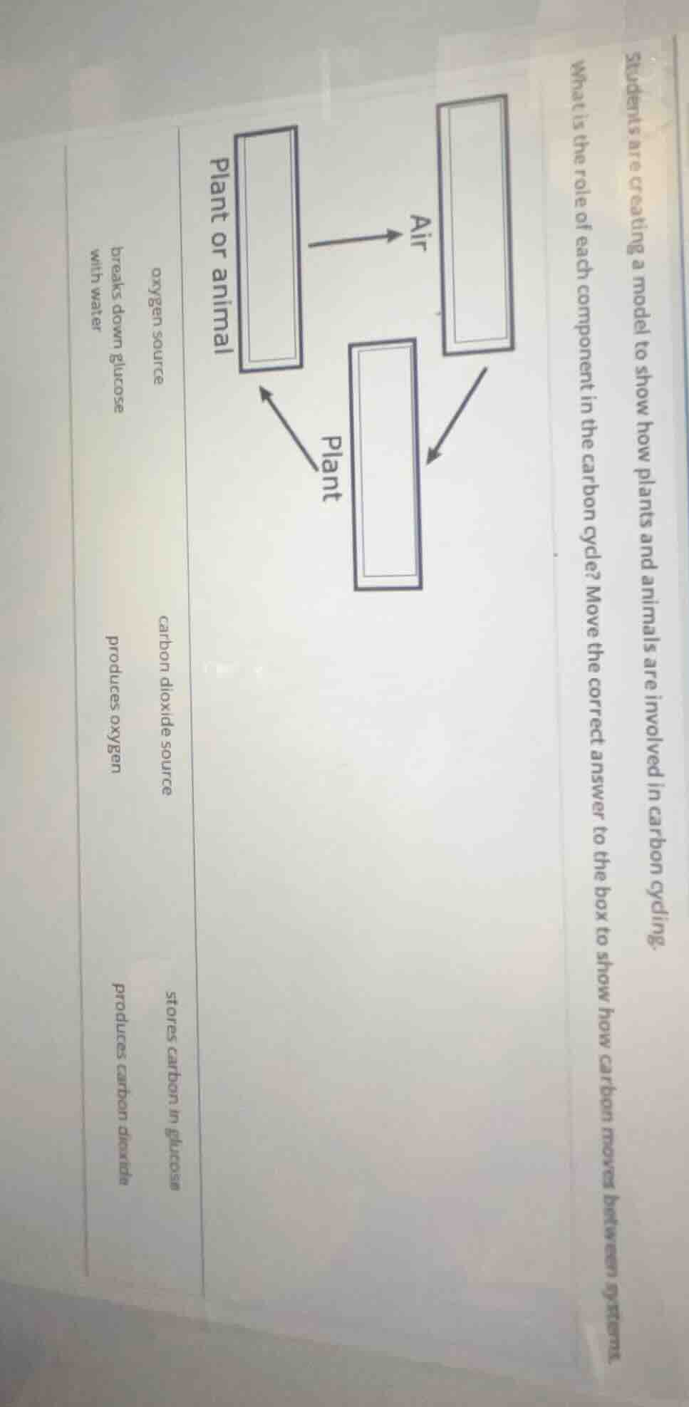 students are creating a model to show how plants and animals are involv…