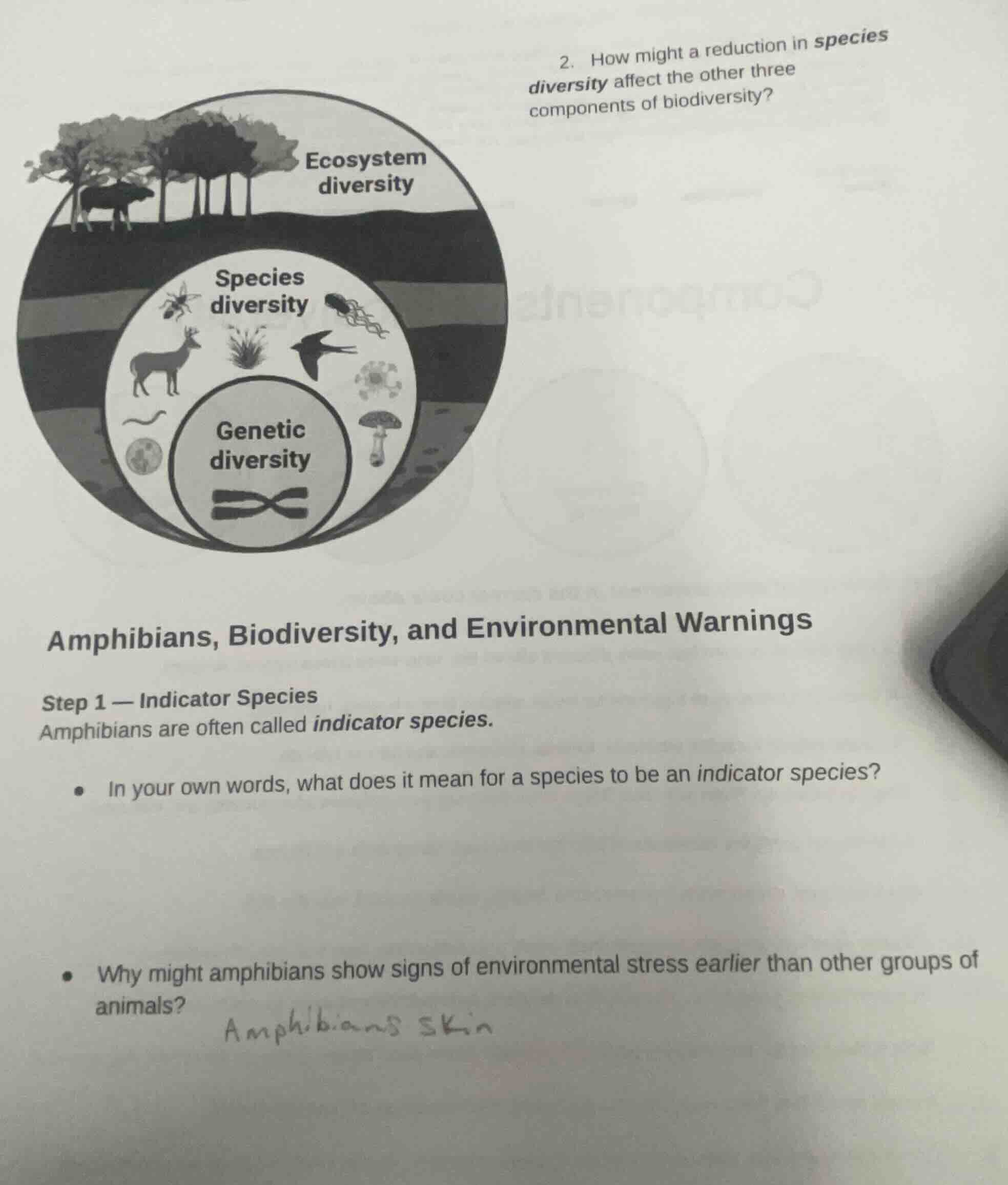 2. how might a reduction in species diversity affect the other three co…