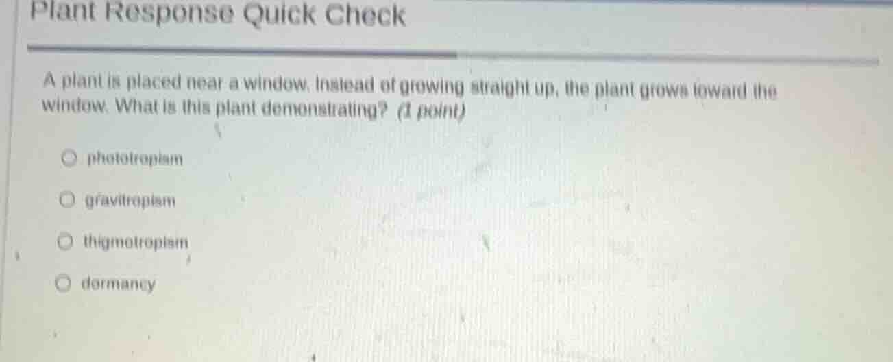 plant response quick check a plant is placed near a window. instead of …